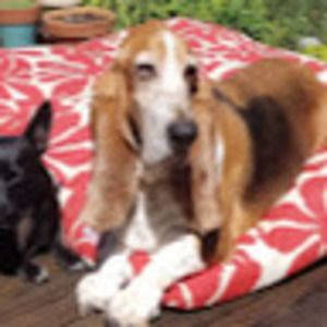 Meet your Posher, Mike